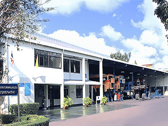 สาขาวงศ์สว่าง